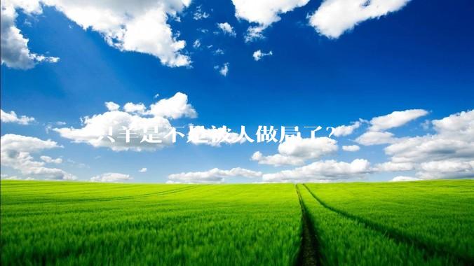 三只羊是不是被人做局了？