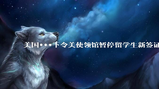 美国***下令美使领馆暂停留学生新签证面谈，将带来哪些影响？美国大学在全球人才竞争中还有优势吗？