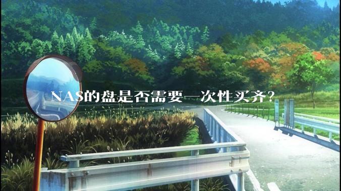 NAS的盘是否需要一次性买齐？