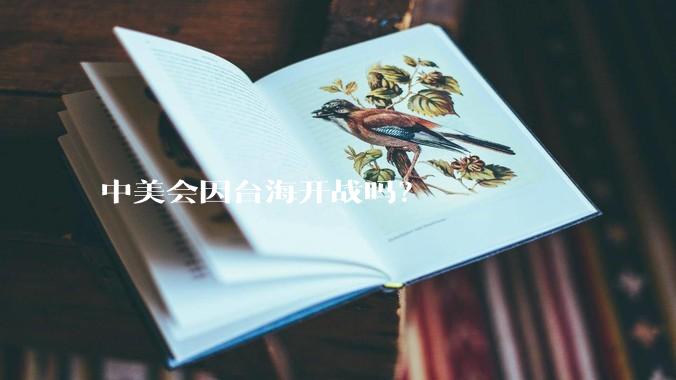 中美会因台海开战吗？