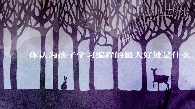 你认为孩子学习编程的最大好处是什么，等级考试有用吗?